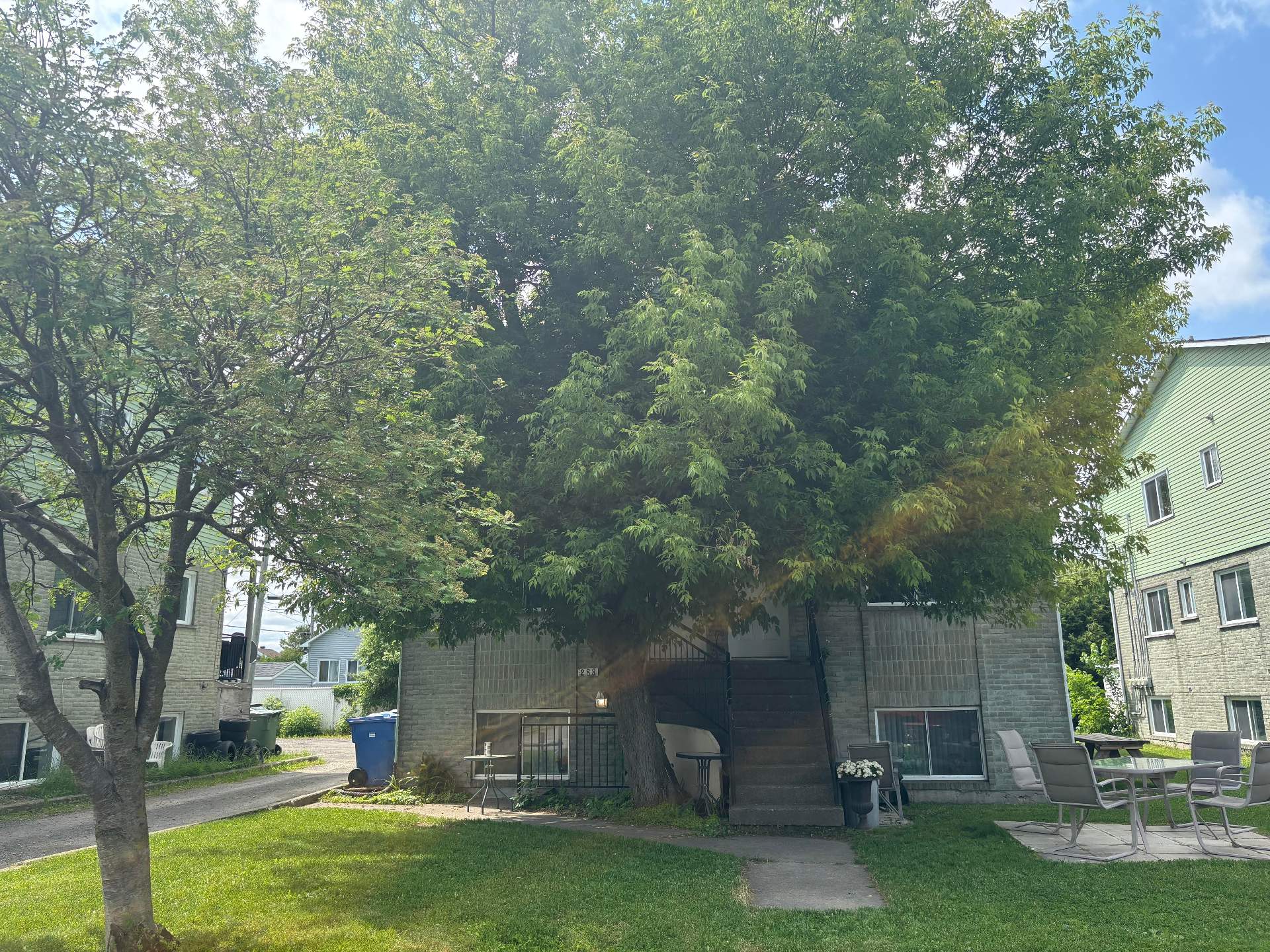 Average Rent In Westmount